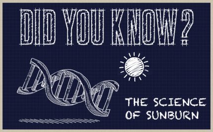 navy and white vector art of a DNA helix and a sun to talk about the science of sunburn