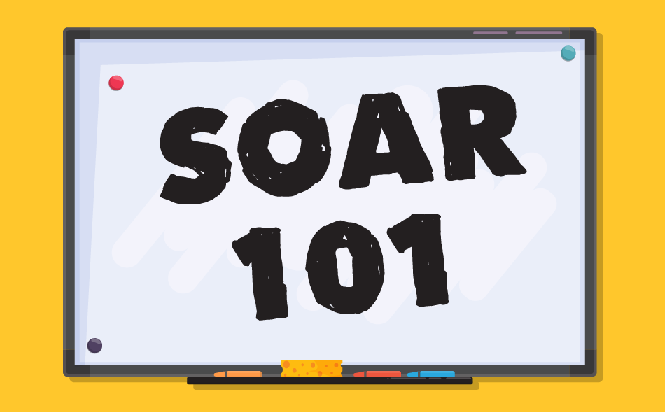 soar-101-setup